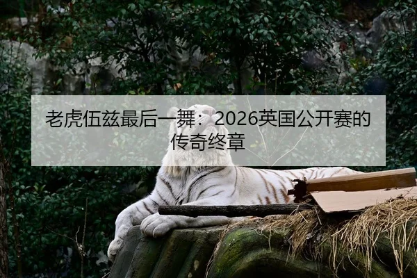 老虎伍兹最后一舞：2026英国公开赛的传奇终章