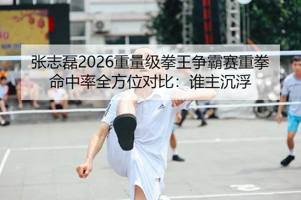张志磊2026重量级拳王争霸赛重拳命中率全方位对比：谁主沉浮